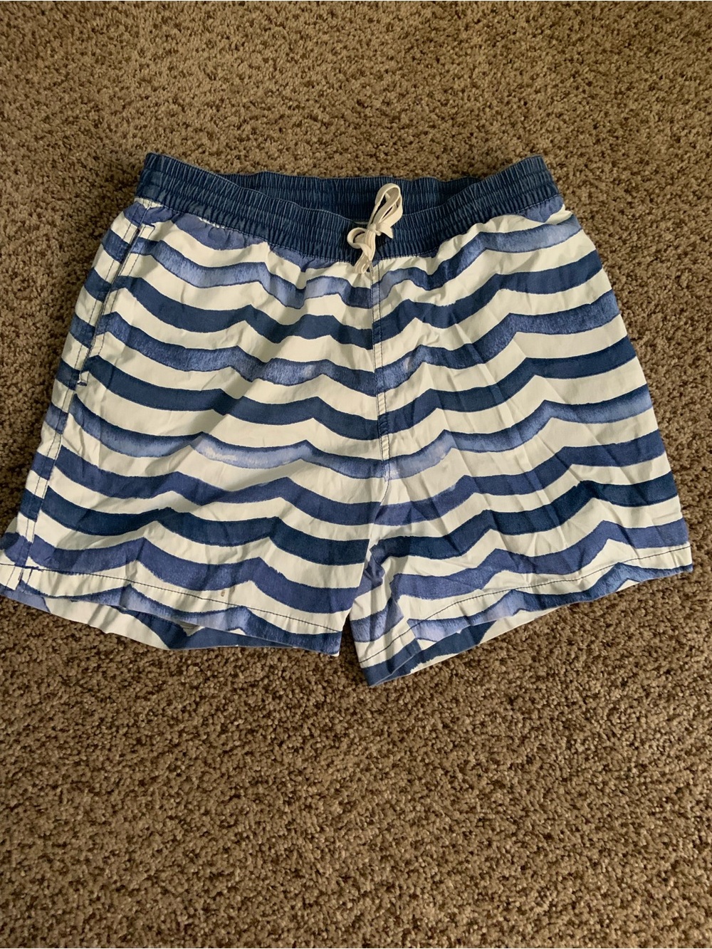 Chubbies Men’s Blue & White Striped Swim Shorts M